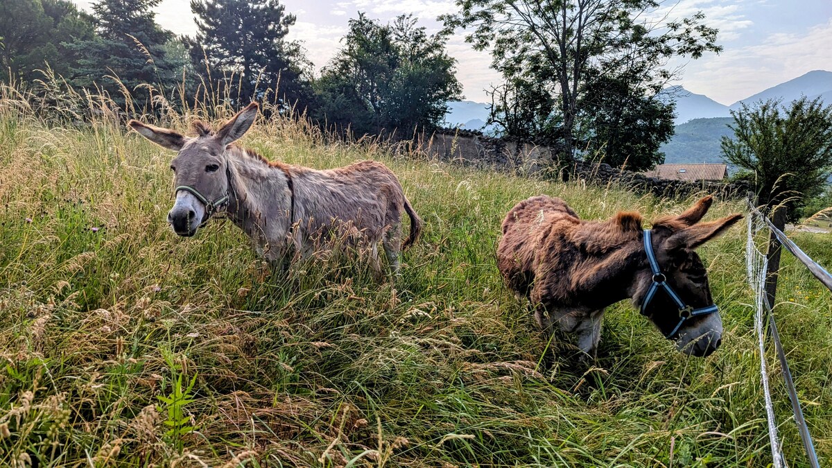 Photo de La Petite Grange